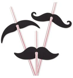 12 Stuks Rietjes Met Snor