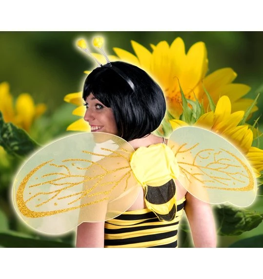 Bijensetje Diadeem En Vleugels 1 Bijensetje Diadeem En Vleugels