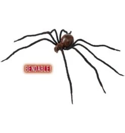 Bloederige Spin 86 Cm