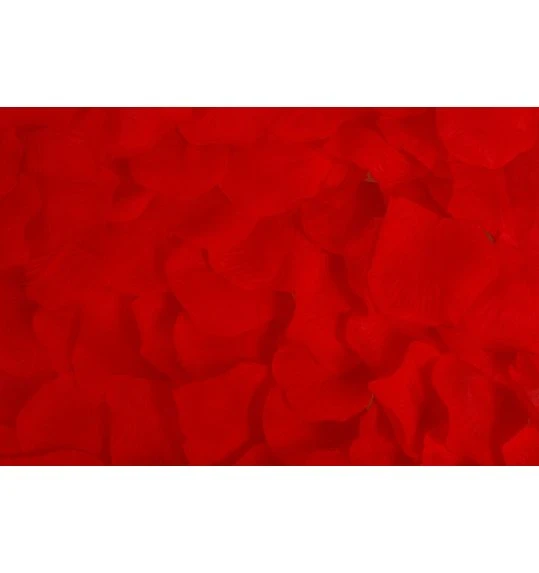 Bloemenblaadjes 1 Bloemenblaadjes