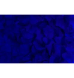 Bloemenblaadjes 8 Bloemenblaadjes -Halloween Winkel Bloemenblaadjes 21604 539x573