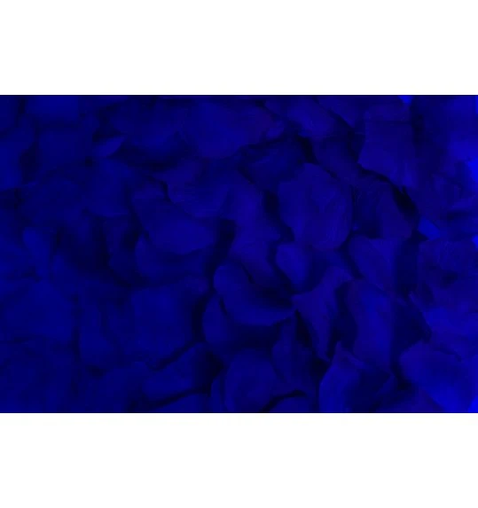 Bloemenblaadjes 4 Bloemenblaadjes - Afbeelding 4