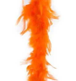 Boa Fluo Oranje 2m 45gr