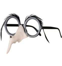 Bril Met Neus En Wenkbrouwen Heks
