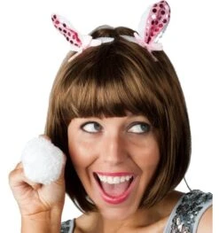 Bunny Oortjes En Staart Op Clips