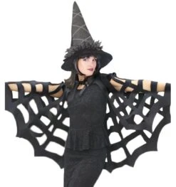 Cape Spinnenweb Zwart