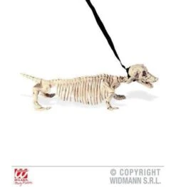 Dashond Skelet Met Leiband