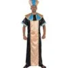Farao Egyptische Man Carnavalskleding Luxe