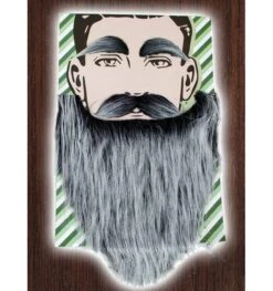 Grijze Baard Met Grijze Snor En WenkbrauwenMarcel