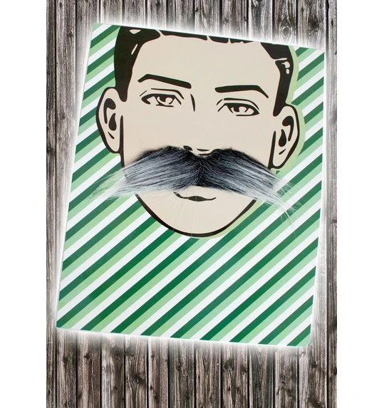 Grijze Snor Bertrand 1 Grijze Snor Bertrand