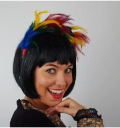 Haarstuk Pluim Multicolor