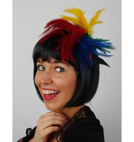 Haarstuk Pluim Multicolor 2 Haarstuk Pluim Multicolor - Afbeelding 2