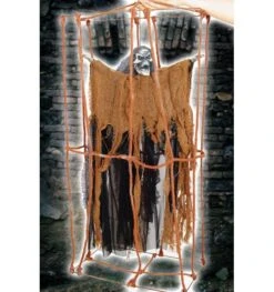 Halloween Pop In Kooi