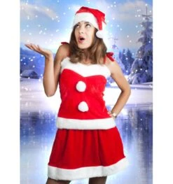 Kerstvrouw Verkleed Pakje Voor Dames