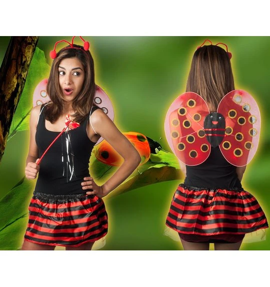 Kever Setje Kids: Rokje,vleugels, Diadeem En Stafje 1 Kever Setje Kids: Rokje,vleugels, Diadeem En Stafje