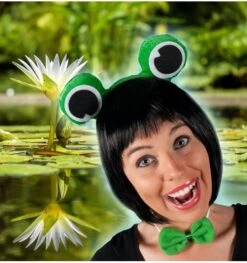 Kikker Setje Diadeem / Strikje