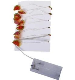 Led Lichtjes Met Watermeloenen Op Batterij AA