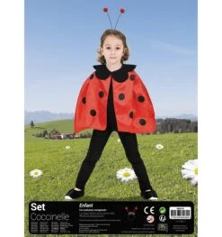 Lieveheersbeestje Cape En Antennes