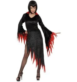 Meesteres Halloween Jurk