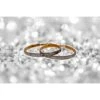 Oorbellen Grote Ring Glitter Zilver