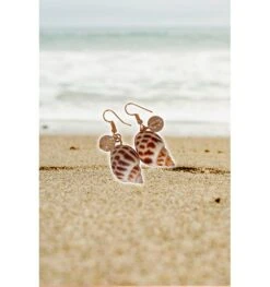 Oorbellen Zee Schelp