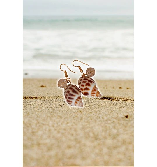 Oorbellen Zee Schelp 1 Oorbellen Zee Schelp