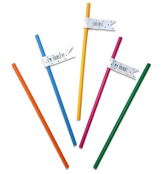 Papieren Rietjes Festive Colors (20st) 1 Papieren Rietjes Festive Colors (20st)