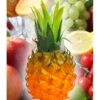 Plastic Ananas Decoratie