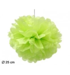 Pompom Lampion Groen 25cm