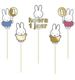 Prikkers Nijntje 1st Bday (5st)