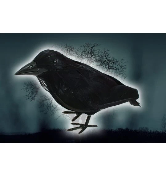 Raaf / Kraai Deco 1 Raaf / Kraai Deco