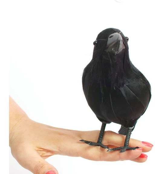 Raaf / Kraai Deco 2 Raaf / Kraai Deco - Afbeelding 2