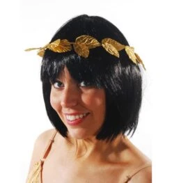 Romeinse Lauwerkrans Hoofdband Goud Met Blaadjes