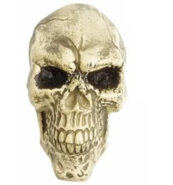 Schedel Halloween Decoratie Muur