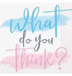 Servetten Gender Reveal 33x33cm 16st