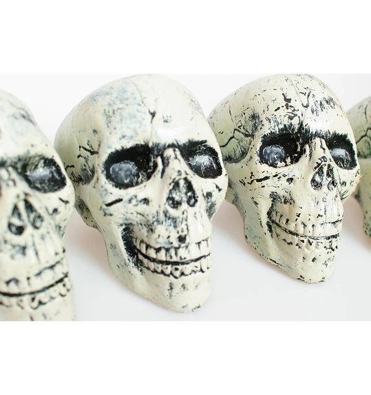 Set Van 6 Schedels Doodshoofden 3 Set Van 6 Schedels Doodshoofden - Afbeelding 3