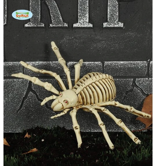 Spin Skelet Halloween Decoratie 24cm 1 Spin Skelet Halloween Decoratie 24cm