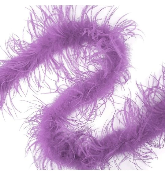 Struisvogelboa Lichtpaars 1 Struisvogelboa Lichtpaars