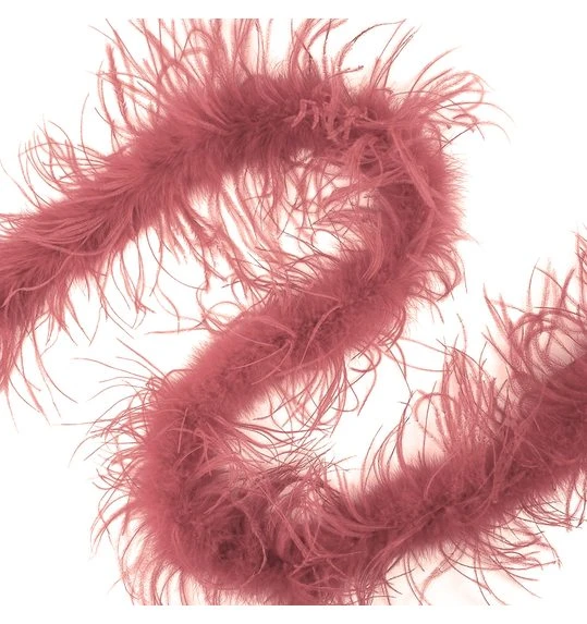 Struisvogelboa Old Pink 1 Struisvogelboa Old Pink