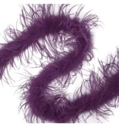 Struisvogelboa Paars