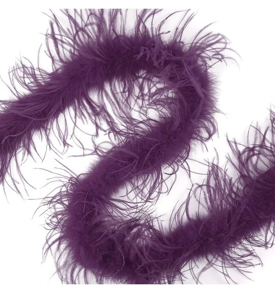 Struisvogelboa Paars 1 Struisvogelboa Paars