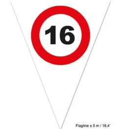 Vlaggenlijn 16 Rood Bord 5m