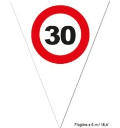 Vlaggenlijn 30 Verkeersbord 5m
