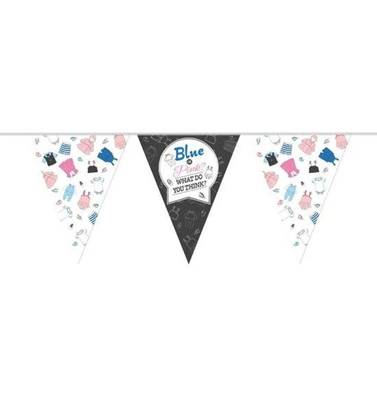 Vlaggenlijn Gender Reveal (10m) 1 Vlaggenlijn Gender Reveal (10m)