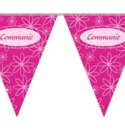 Vlaggenlijn Communie Meisje