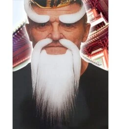 Witte Baard En Wenkbrauwen Sensei