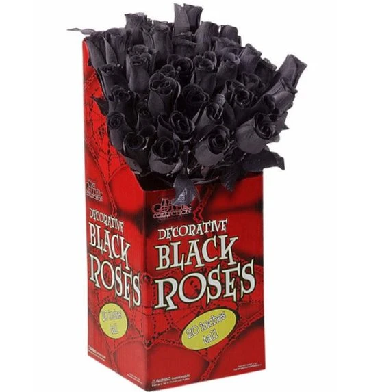 Zwarte Roos Per Stuk 3 Zwarte Roos Per Stuk - Afbeelding 3