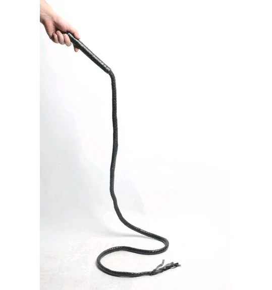 Zweep Lang 1 Zweep Lang