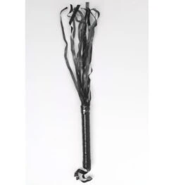 Zweepje SM Jackie Zwart