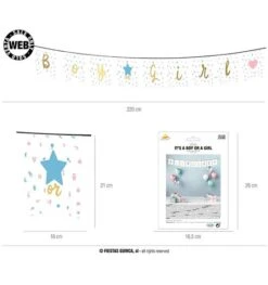 Boy Or Girl Gender Reveal Slinger